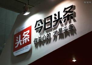 今日头条爆料了什么